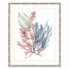 Seaweed Medley 3